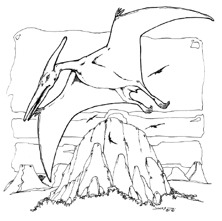 Dinozaury kolorowanki